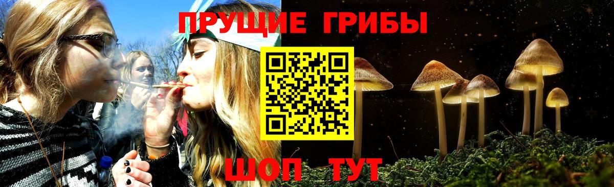 Ленинск-Кузнецкий  закладки  Вход с VPN  Галлюциногенные грибы Psilocybine cubensis 